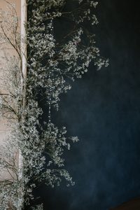 img 4061