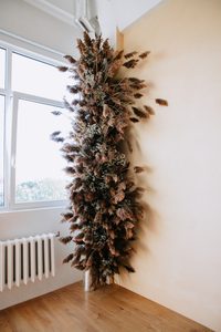 img 4119
